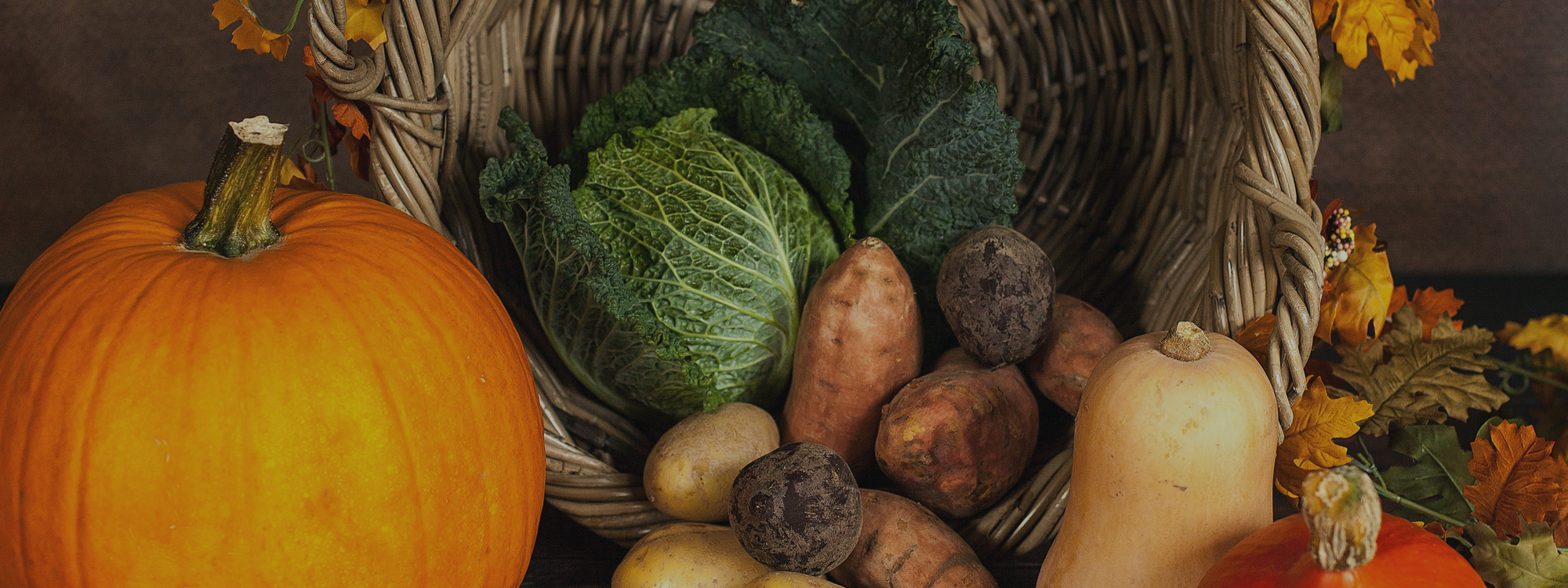 Harvest Festival*Sunday 28th September 10.00 am also join Fun Food & Faith for Harvest Tea 4.45 pm*